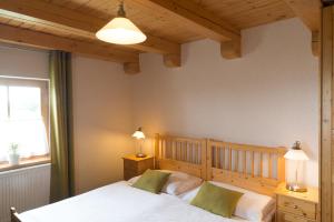 a bedroom with a bed and two lamps and a window at Hotel Pavlov in Pavlov +37 photos