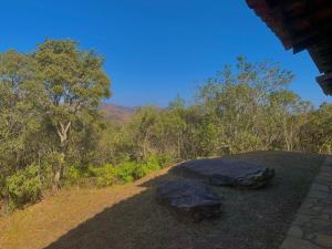 deux bancs assis au-dessus d'un champ planté d'arbres dans l'établissement August de Saint Hilaire/ Reserva Alto da Colina, à Conceição da Ibitipoca