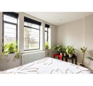 um quarto com vasos de plantas e uma cama grande em Bitcoin superior king room em Londres