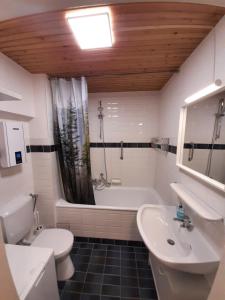 een badkamer met een bad, een toilet en een wastafel bij Familien Ferienwohnung Harzer Schöllchen in Sankt Andreasberg