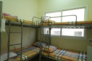two bunk beds in a room with a window at Ladies hostel near Burjuman Metro Station in Dubai