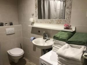 a bathroom with a sink and a toilet and a mirror at Meduliceva apartman in Zagreb