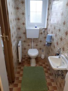 a small bathroom with a toilet and a sink at Apartment Carmen in Nachdemsee +16 photos