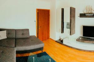 a living room with a couch and a television at Apartment Carmen in Nachdemsee