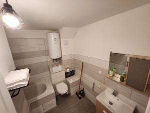 Baño pequeño con aseo y lavamanos en Agréable appartement, lumineux, en Bar-le-Duc