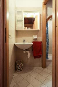 een badkamer met een wastafel en een rode handdoek bij Agriturismo Michelangelo in Florence