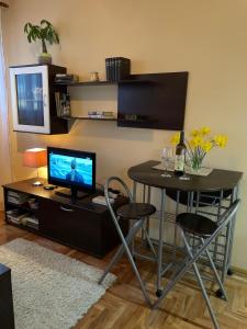 Μια τηλεόραση ή/και κέντρο ψυχαγωγίας στο Apartman Helena