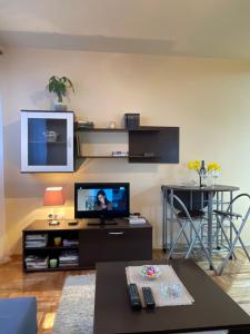 Μια τηλεόραση ή/και κέντρο ψυχαγωγίας στο Apartman Helena