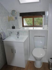 a bathroom with a toilet and a sink and a window at Tranquil 3-Bed Cottage Near Lake Vyrnwy in Hirnant
