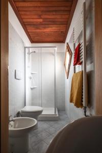 ein Bad mit einer Dusche, einem WC und einem Waschbecken in der Unterkunft Agriturismo Michelangelo in Florenz