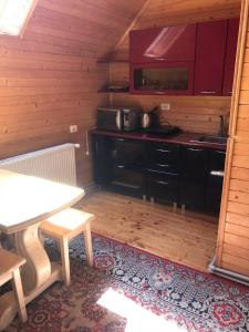 a small kitchen with a table and a microwave at Модрина in Vorokhta +8 photos