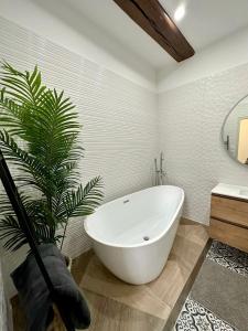 uma casa de banho com uma grande banheira branca e uma planta em Le Lamartine em Mâcon