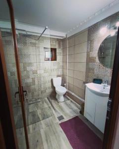 a bathroom with a toilet and a sink and a mirror at Casa de vacanta Estera Rucar in Rucăr