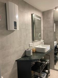 bagno con lavandino e specchio di Ruhig und Zentral a Friedberg