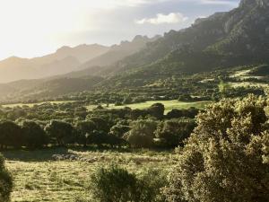 Blick auf ein Tal mit Bergen im Hintergrund in der Unterkunft Agriturismo Asara in Padru