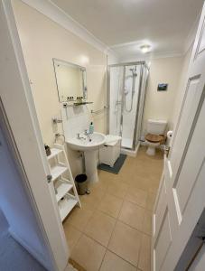 a bathroom with a sink and a shower and a toilet at Charming Hen Cottage Countryside Retreat Lincoln in Lincoln