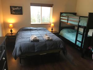 希利的住宿－迪納利每晚度假屋出租，一间卧室设有两张双层床和一扇窗户。