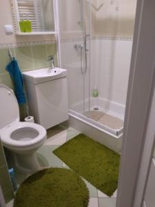 a bathroom with a toilet and a shower and a sink at Mieszkanie Jadwigi in Giżycko +11 photos