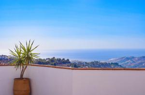 roślina doniczkowa siedząca na białej ścianie z oceanem w obiekcie Penthouse 17A, Frigiliana 2 bedroom, Pool, Large Terrace and Amazing views in the center of Frigiliana HansOnHoliday Rentals w mieście Frigiliana