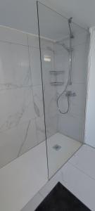 a bathroom with a shower with a glass door at Ellas Modern Duplex City Center in Nicosia