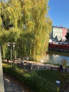 Blick auf einen Fluss in der Nähe der Ferienwohnung