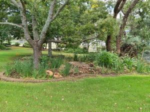 a garden with trees and plants in a park at Longtom Farm Guesthouse in Lydenburg