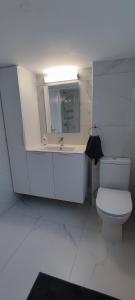 a white bathroom with a toilet and a sink at Ellas Modern Duplex City Center in Nicosia