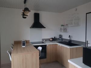 a kitchen with a counter and a sink and a stove at Logis des Bouchons in Morteau