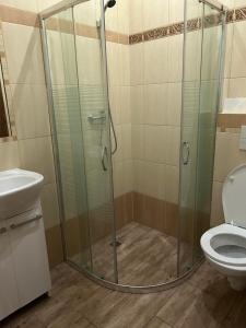 łazienka z kabiną prysznicową i toaletą w obiekcie Ośrodek Agroturystyczny Przystanek Koński Dwór w mieście Oborniki Śląskie