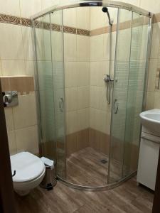 W łazience znajduje się prysznic, toaleta i umywalka. w obiekcie Ośrodek Agroturystyczny Przystanek Koński Dwór w mieście Oborniki Śląskie