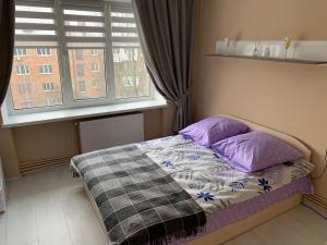 ein Schlafzimmer mit einem Bett mit lila Kissen und einem Fenster in der Unterkunft Апартаменты LUXURY in Berdychiv