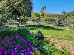 Zahrada ubytování Finca Sueño de Vida