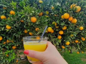 Nápoje v ubytování Finca Sueño de Vida