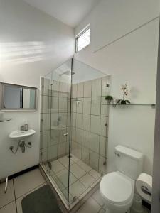a bathroom with a shower and a toilet and a sink at Casa a 4km del aeropuerto SJO in Santiago Este