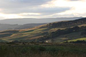 Natural landscape near the apartment 