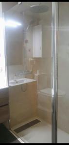 ein Bad mit einer Dusche und einem Waschbecken in der Unterkunft The Family 1 in Canfranc-Estación