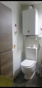 ein Badezimmer mit einem weißen WC und einem Schrank in der Unterkunft The Family 1 in Canfranc-Estación