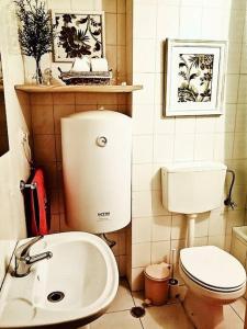 Sir Manuel Guest House - Unidade Centro Histórico في براغا: حمام صغير مع مرحاض ومغسلة