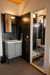 La salle de bains est pourvue d'un lavabo et d'une douche. dans l'établissement KROK, à Horní Planá