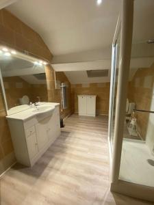 La salle de bains est pourvue d'un lavabo et d'une douche. dans l'établissement Gîte chez Salvatore Vresse, à Vresse-sur-Semois