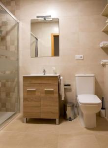 La salle de bains est pourvue de toilettes, d'un lavabo et d'un miroir. dans l'établissement LA PUERTA DE ARZÚA, à Arzúa