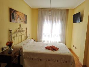 um quarto com uma cama e uma janela em Los Prados - HUCA Oviedo - Parking gratuito em Oviedo