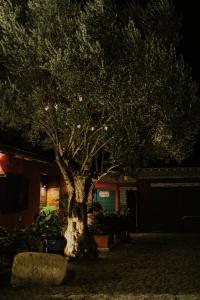 Fotografie z fotogalerie ubytování El Jardin de Gala v destinaci Castejón de Monegros