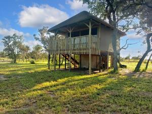 un pequeño edificio con terraza en un campo en Chobe Hideaway 