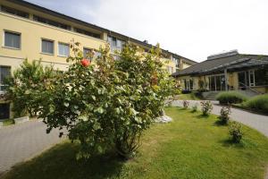 Zahrada ubytování Hotel Godewind