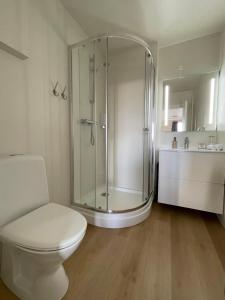 a bathroom with a shower and a toilet and a sink at Guesthouse Bitra B&B in Selfoss