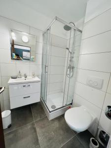 a bathroom with a shower and a toilet and a sink at Ruheoase am Strand Wassersleben in Harrislee