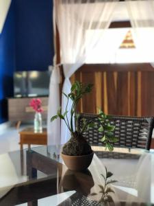 Posezení v ubytování Flat Meier