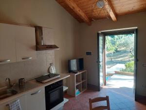 cocina con fregadero y fogones horno superior en Casal Finocchito, en Ogliastro Cilento