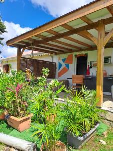 eine Terrasse mit einer hölzernen Pergola und einigen Pflanzen in der Unterkunft Appartement à la campagne avec spa 3 nuits minimum in Le Lamentin